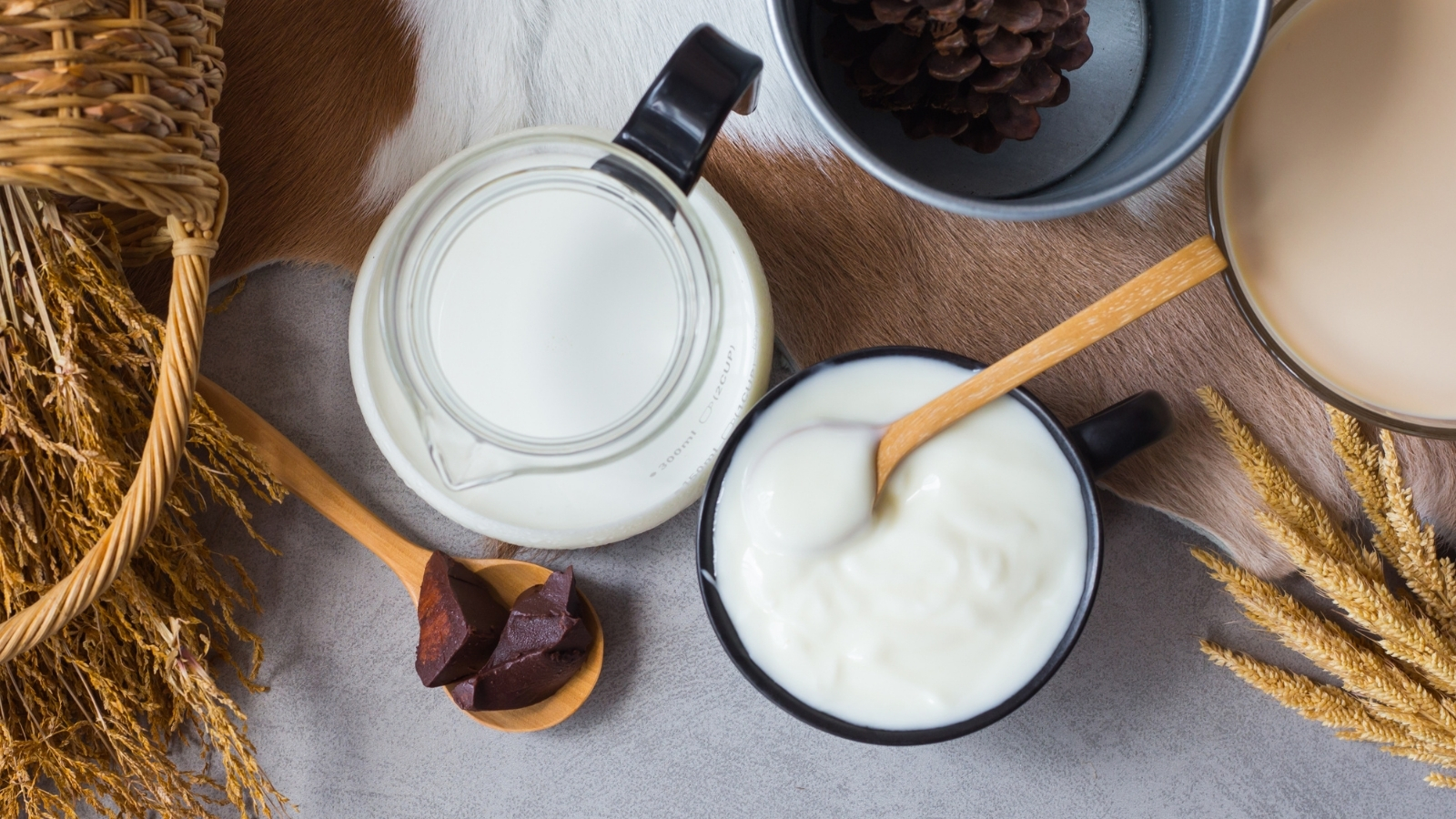 Dairy and MilkLike Product Viscosity